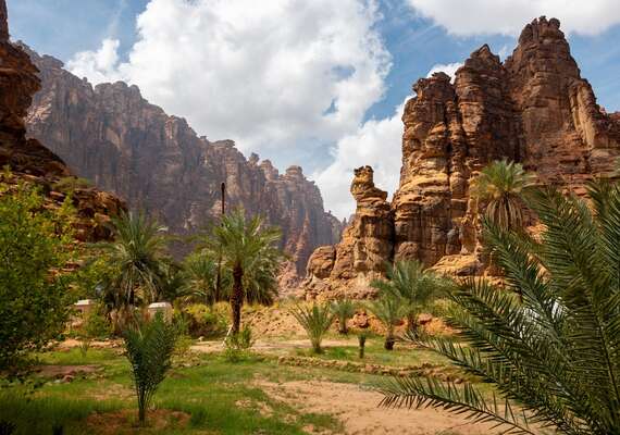 تبوك